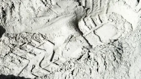 Communiqués de presse